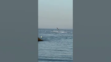 Marbella Spain 