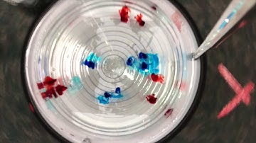 How to demonstrate solid body rotation on the DIYnamics table