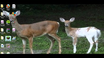 How to install TooManyItems for Minecraft 1.4.5