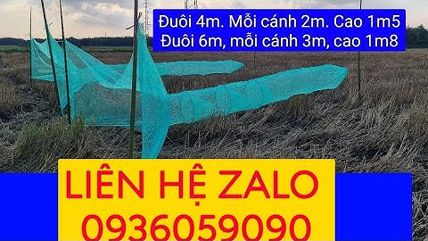 Dớn bắt cá. Xăm dớn bắt cá. Dớn chặn sông. Xăm dớn chặn sông. Đuôi chuột bắt cá. Dớn lú bắt cá.