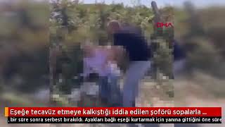 Eşeğe Tecavüz Eden Şoförü Sopalarla Dövdüler