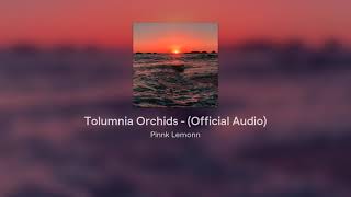 Tolumnia Orchids - (Official Audio)