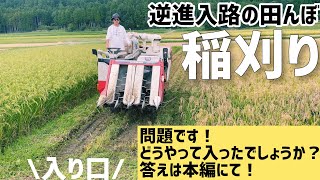田んぼページ 😎 今日はZRX400のお客様が昔の風防、2番シボリ、ハタボーS
