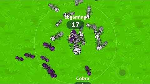 Ants.io Gameplay Walkthrough - Part 1 ( android, iOS game )