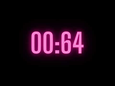 107 Second Timer with Alarm
