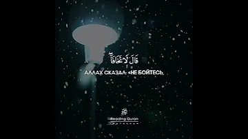 Коран Сура 20 «Та Ха», аят 46. Чтец: Омар Х0ишам