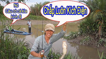 Câu Cá Trê Sông Bằng Mồi Này Nhạy Thật , Kích Điện Vẫn Lên Cá Ầm Ầm
