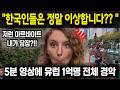 한국인들은 정말 이상합니다 저런 아르바이트 내가 당장 5분 영상에 유럽 1억명 전체 경악 