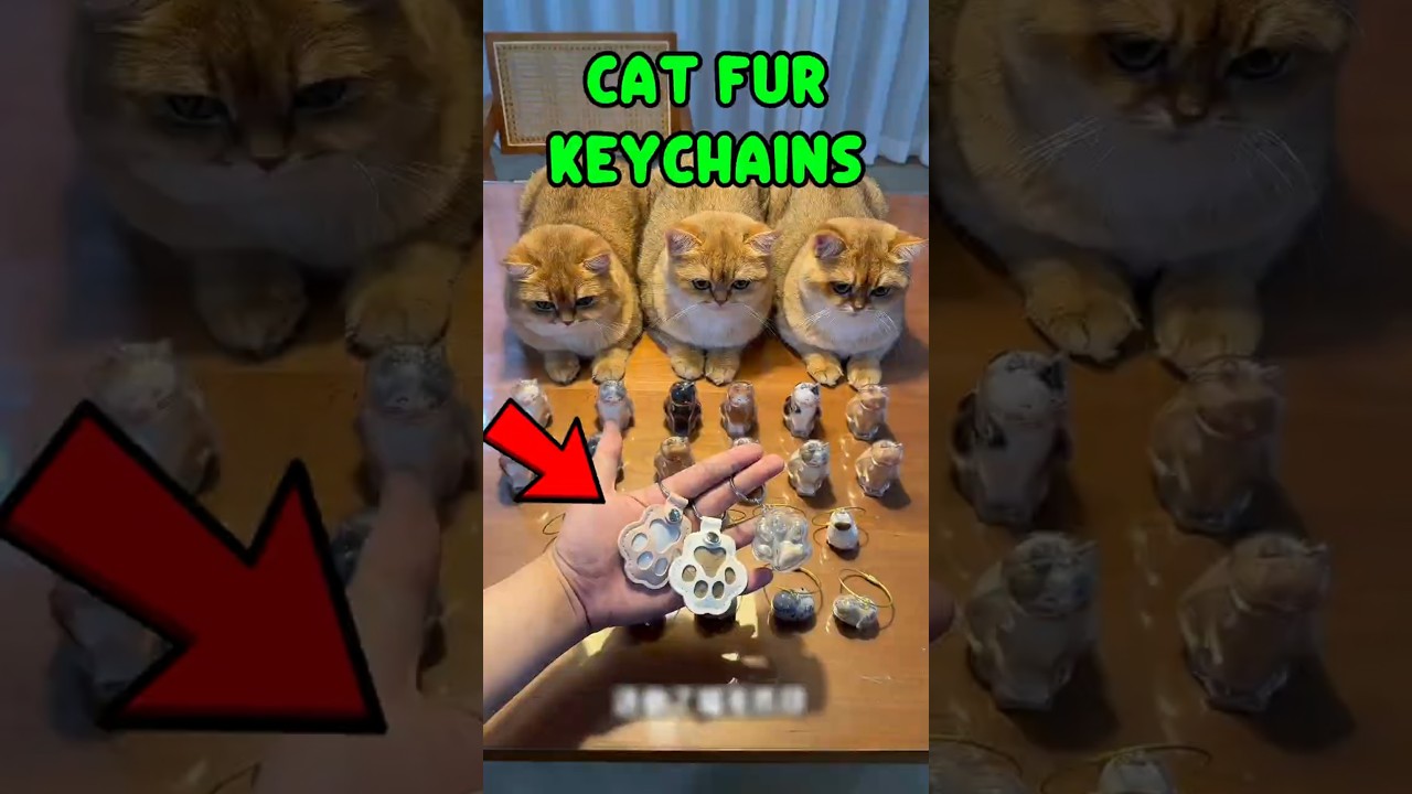 Genius Cat Fur DIY! Turn Shedding into Adorable Keychains & Figurines 🐱✨