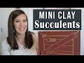 Maker crate unboxing july 2021  mini clay succulents