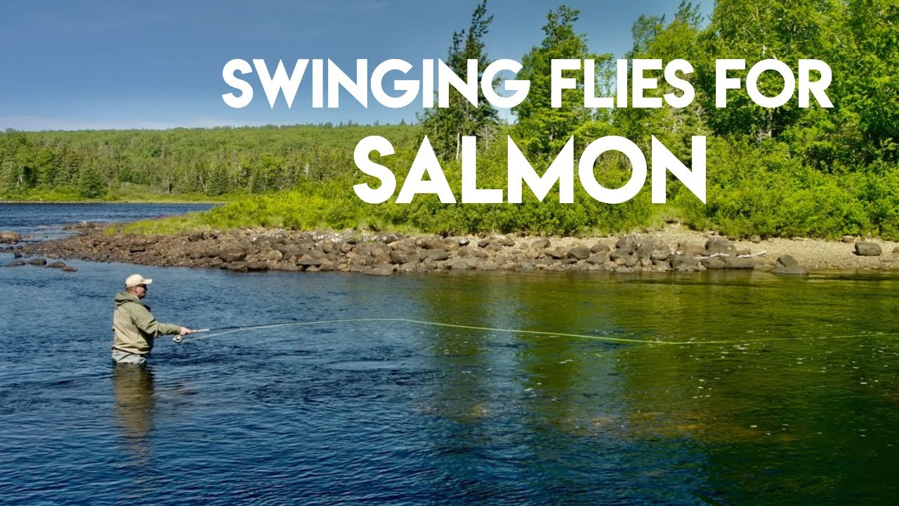 Swinging Flies for Salmon