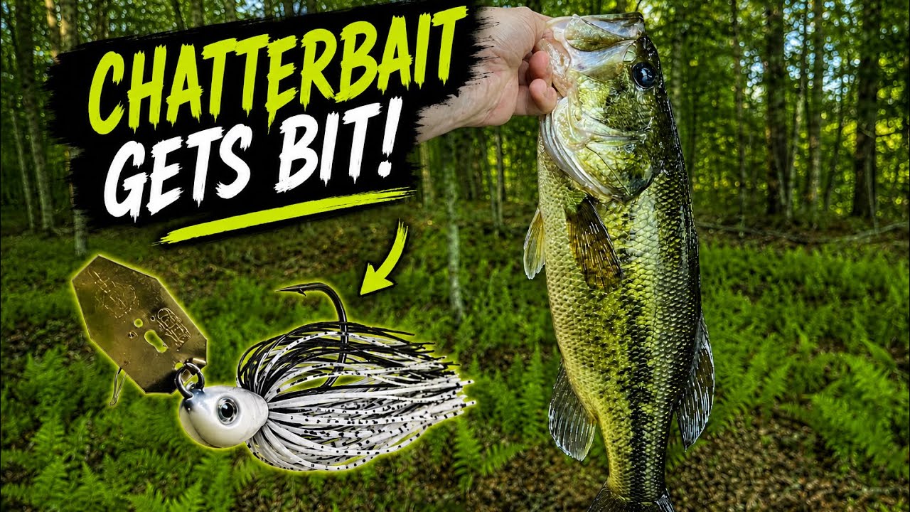 Is the Chatterbait the Best Bass Fishing Lure Ever?