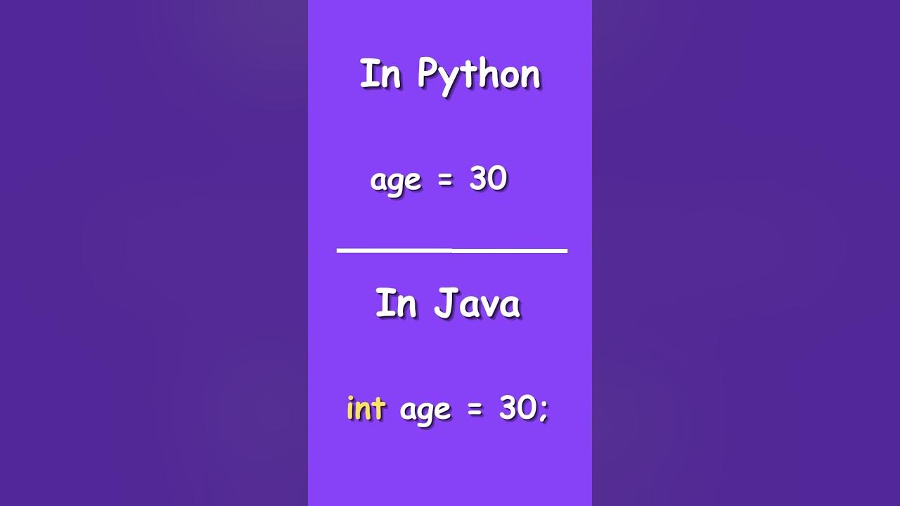 Dynamic or Duck Typing in Python explained in a minute - YouTube