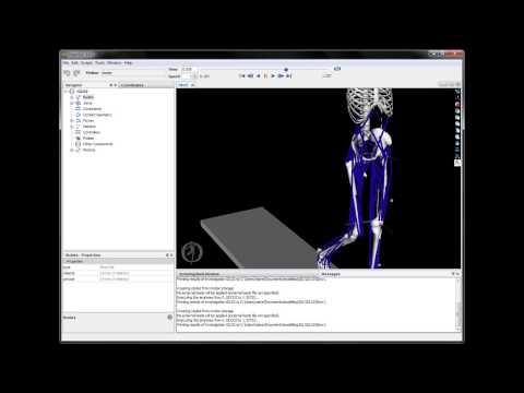 OpenSim Demo
