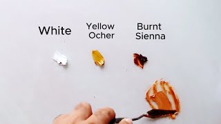 COLOR MIXING FOR PORTRAIT PAINTING