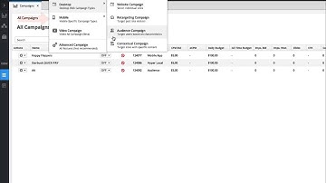 SiteScout Tutorial: Campaign Types