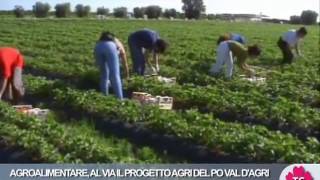 AGROALIMENTARE, AL VIA IL PROGETTO AGRI DEL PO VAL D'AGRI