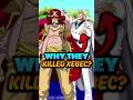 Why garp and gol d roger killed rocks d xebec one piece theory onepiece shorts