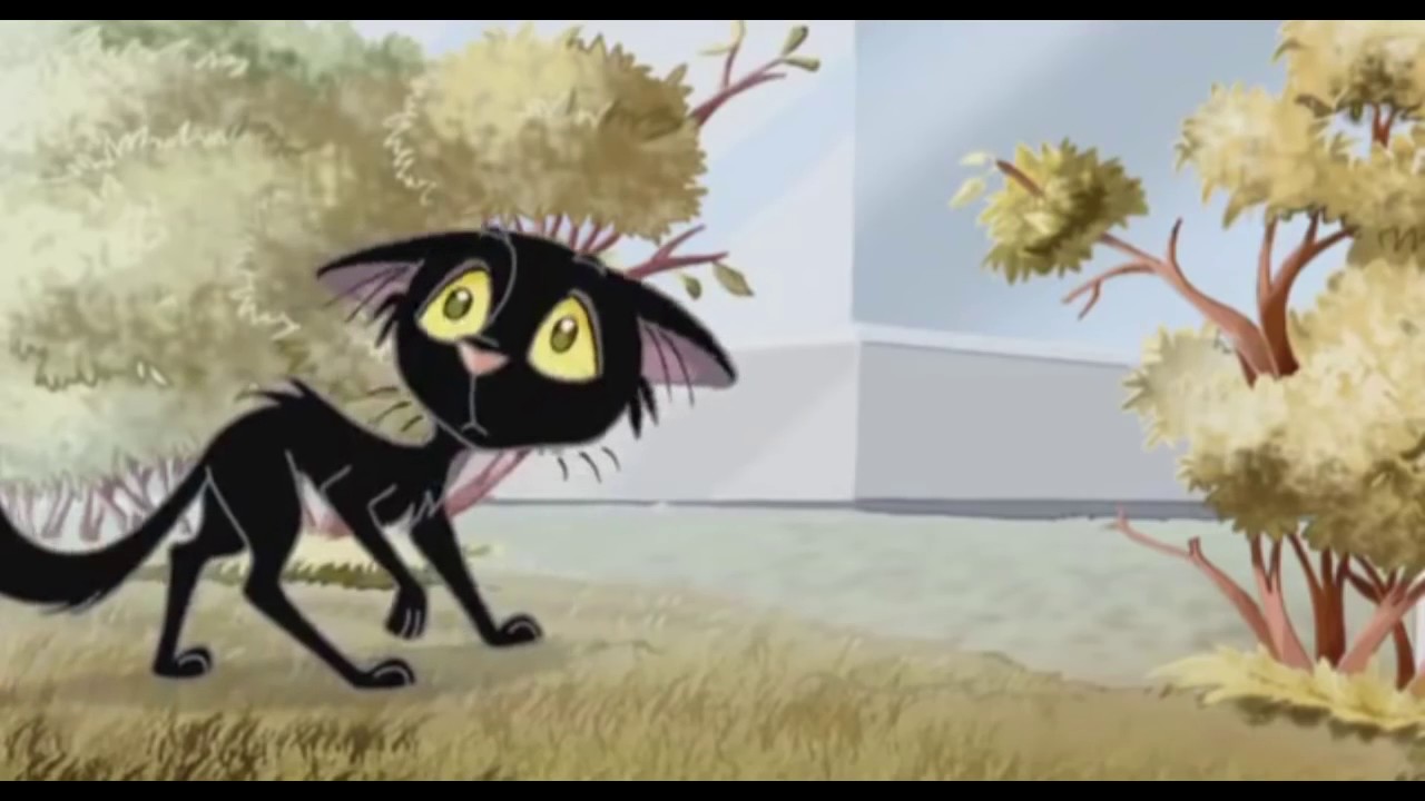 Иллюстрация к песне черный кот. Черный кот за углом. Песни черный кот. Жил был черный кот. Черный кот текст.