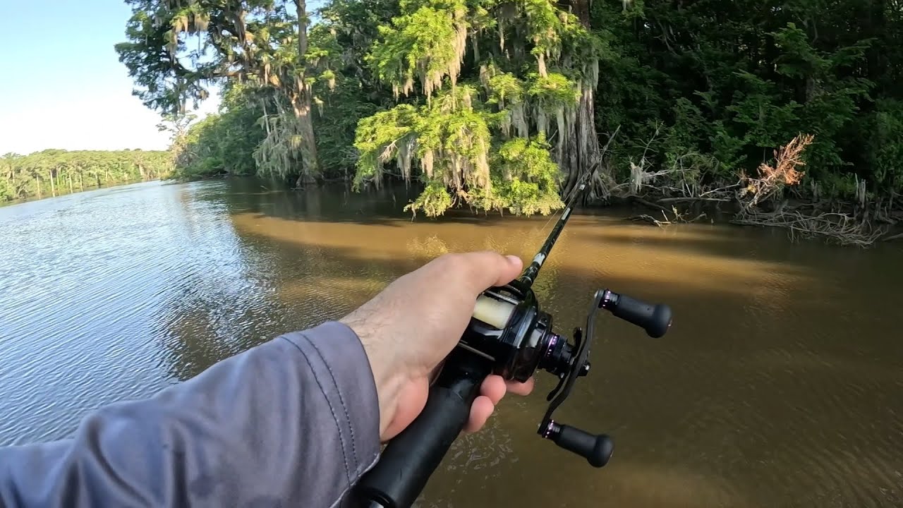 @RiverBassTv  Summer Bass Fishing on the Neuse River!
