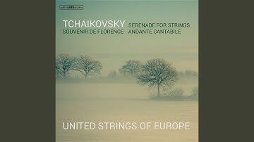 Serenade for Strings in C Major, Op. 48, TH 48: III. Elegia
