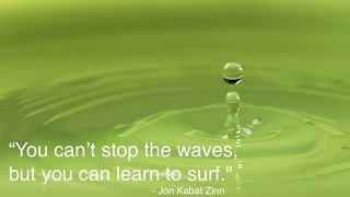 Famous "The Stress Reduction Program" Center For Mindfulness, UMASS Profile