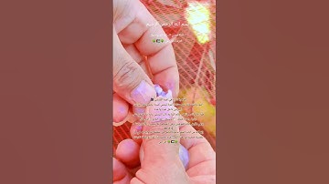 "وفي الأرض آياتٌ للموقنين، وفي أنفسكم أفلا تبصرون" [الذاريات: 20-21] صدق الله العظيم