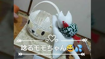 ネズミのオモチャ Youtube