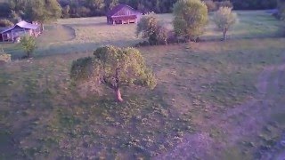 Drone camera Droning in Chappell Hill Cows and the Bride HD Drone camera Droning in Chappell Hill Cows and the Bride HD