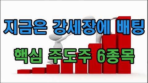 지금은 강세장에 배팅, 핵심 주도주 6종목
