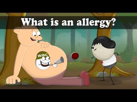 What is an allergy? | #aumsum #kids #science #education #children