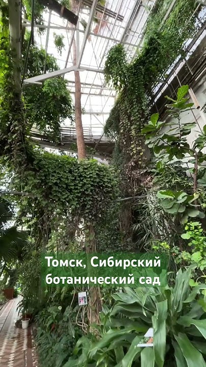 Томск, Сибирский ботанический сад ТГУ - YouTube