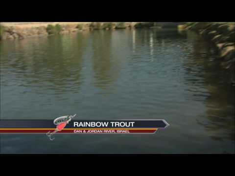 Ultralight fishing for Rainbow Trout, Israel Csf 24 18 01