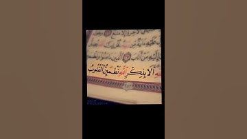 الذين امنو وتطمئن قلوبهم بذكر الله الا بذكر الله تطمئن القلوب. سورة الرعد الآية 28