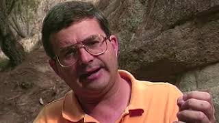 Fossil Evidence of Creation