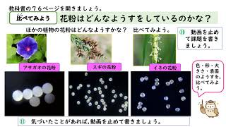 小5理科 大日本図書 植物の実や種子のでき方 Youtube