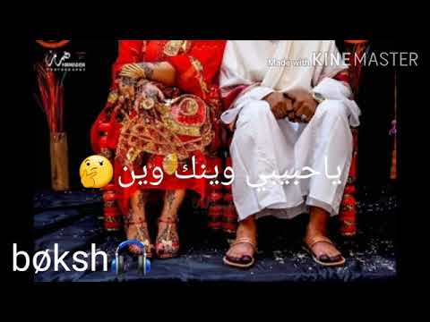 حبيبي وينك وين