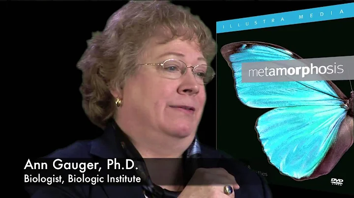 Biologist Ann Gauger on Metamorphosis: Still a Mys...
