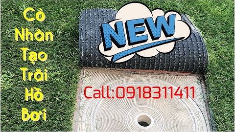 Cỏ Nhân Tạo | Trãi Cỏ Nhân Tạo Cho Hồ Bơi