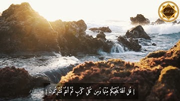 قل من ينجّيكم من ظلمات البرّ والبحر ... قل الله ينجّيكم منها ومن كل كرب.. - القارئ: فهد المطيري