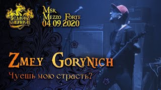 ZMEY GORYNICH - Чуешь Мою Страсть? (BMTH cover) (LIVE)