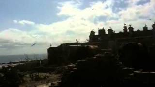 video2.mov: Isla de Flores