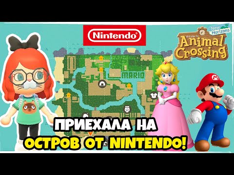 Vídeo: Apenas Um Animal Crossing: New Horizons Island Por Switch, A Nintendo Confirma