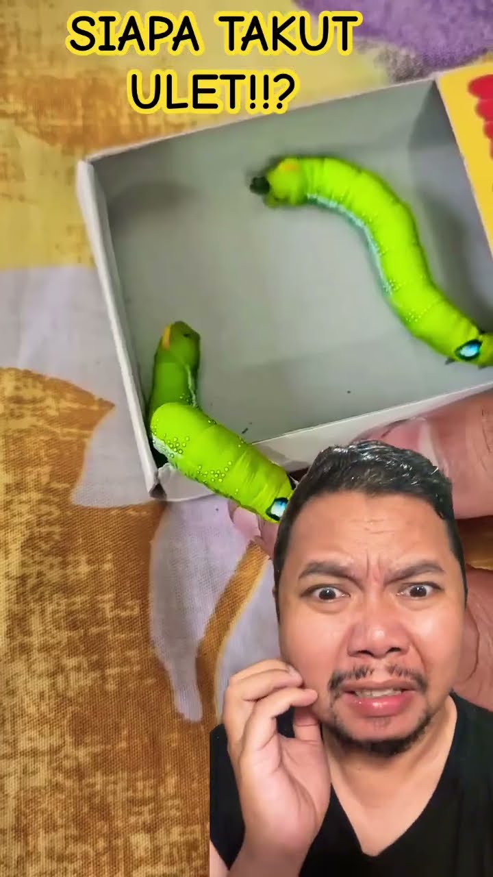 PELIHARA ULET!!??SIAPA TAKUT!!??? #comedy #funny #shortsfeed #shorts