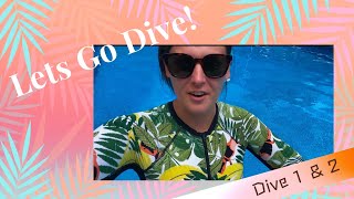 Lets Go Diving! : Pool Session 1-2 Vlog
