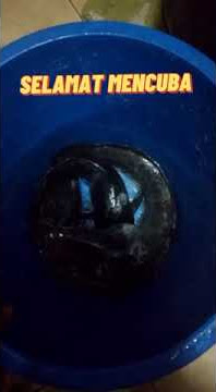 Cara Membunuh Ikan Keli Dengan Mudah Dan Cepat.🐬