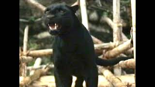 Black Panther (Night Creature 1978) Sounds