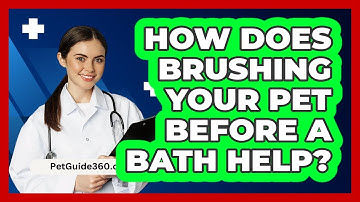 How Does Brushing Your Pet Before A Bath Help? - PetGuide360.com