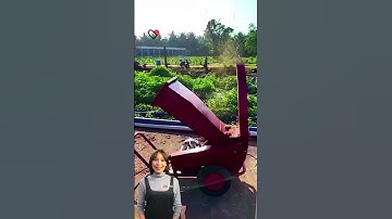 #fcnfm #shorts Branch Out into Mulching: Top 5 Features of a Tree Branch Shredder Machine