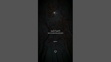 القارئ عبد الرحمن مسعد 🎧💚 #تلاوة_خاشعة #عبدالرحمن_مسعد #قران_كريم #راحة_نفسية #اكتب_شي_تؤجر_عليه